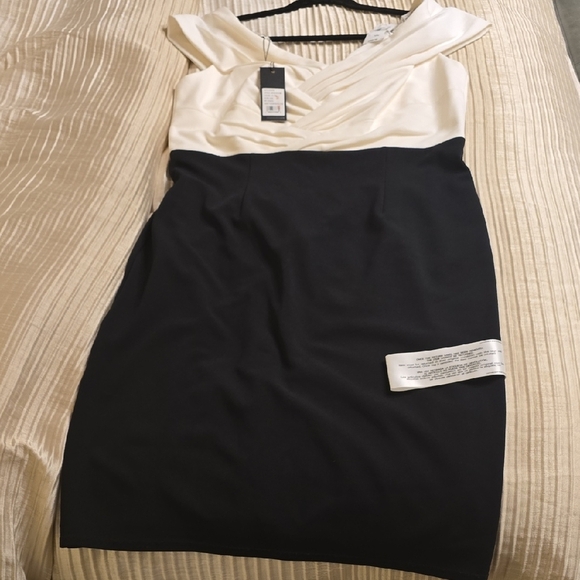 Tadashi Shoji Cream and Black Midi Dress - Picture 7 of 13